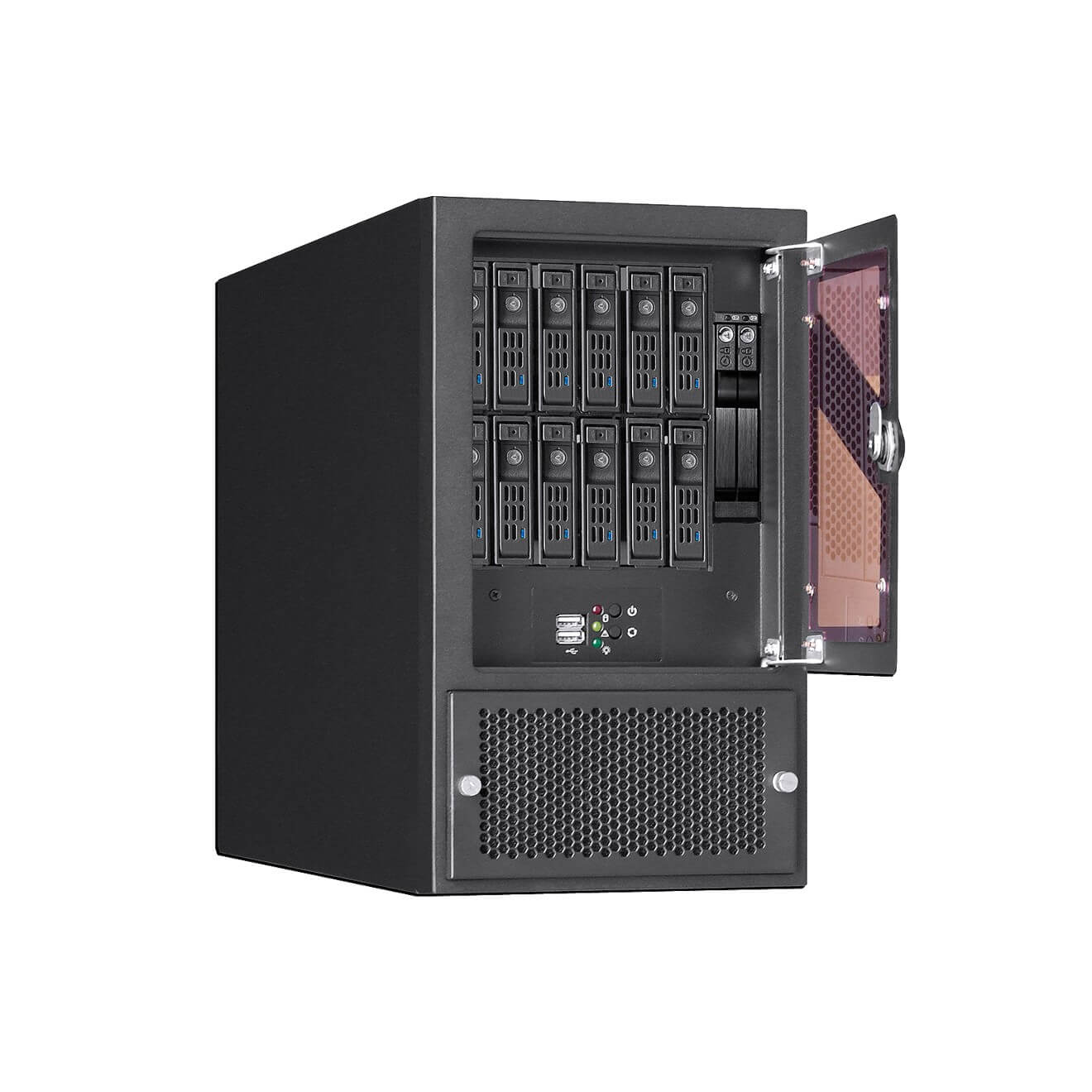 Saker Struthio NAS Series
